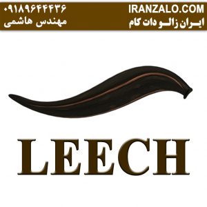leech-iranzalo.com