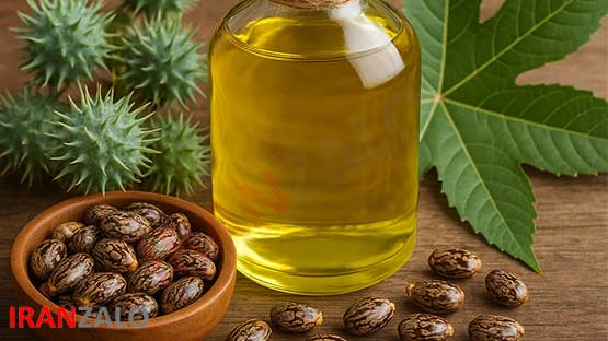 روغن کرچک 1 روغن کرچک