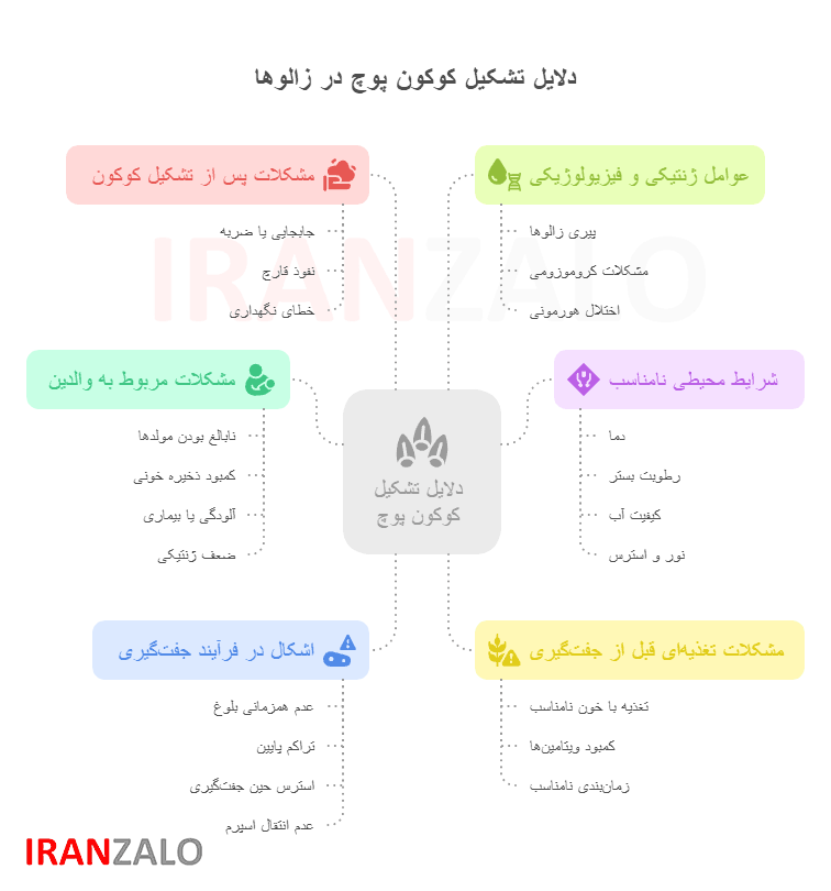 دلایل تشکیل کوکون پوچ زالوها 6 علت بسیار مهم 2 دلایل تشکیل کوکون پوچ (پیله خالی)